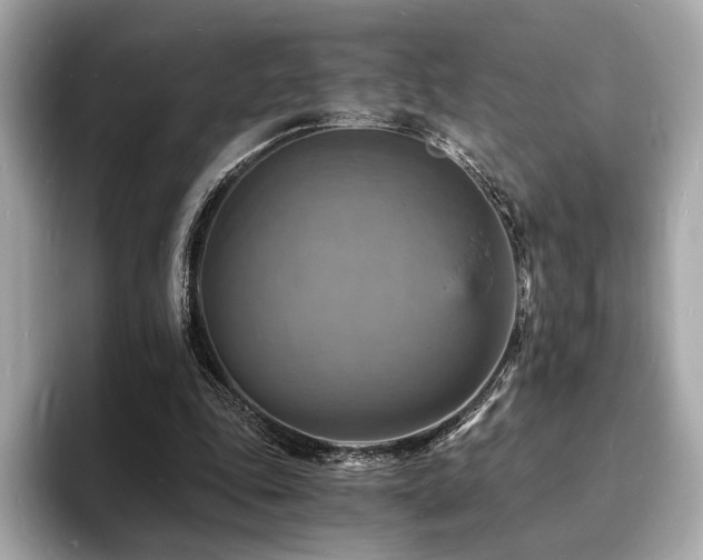 X0000093730343200710161121