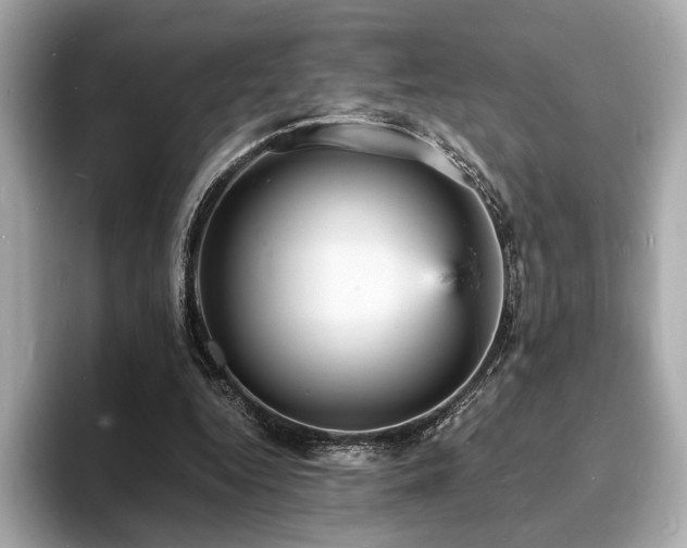 X0000093730344200710161121