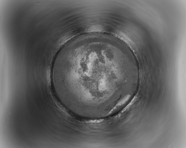 X0000093730345200710161121