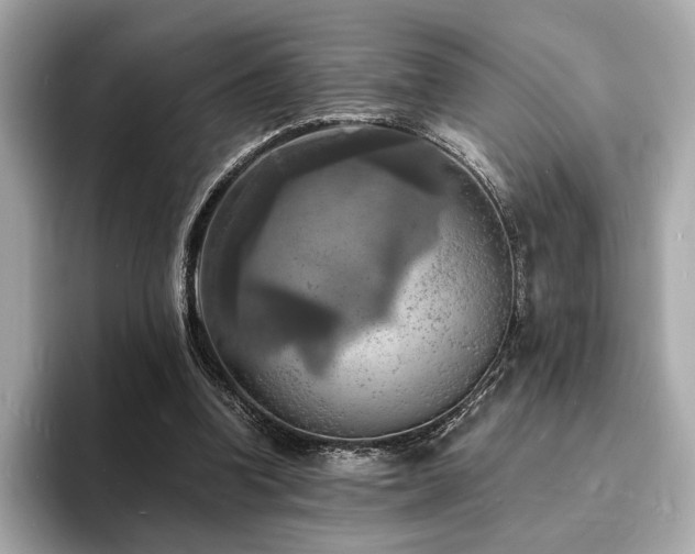 X0000093730346200710161121