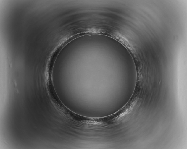 X0000093730347200710161121
