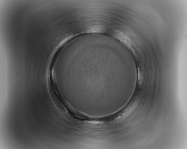 X0000093730348200710161121