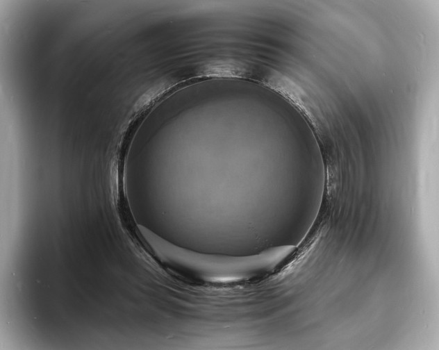 X0000093730349200710161121