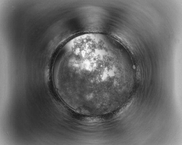 X0000093730351200710161121