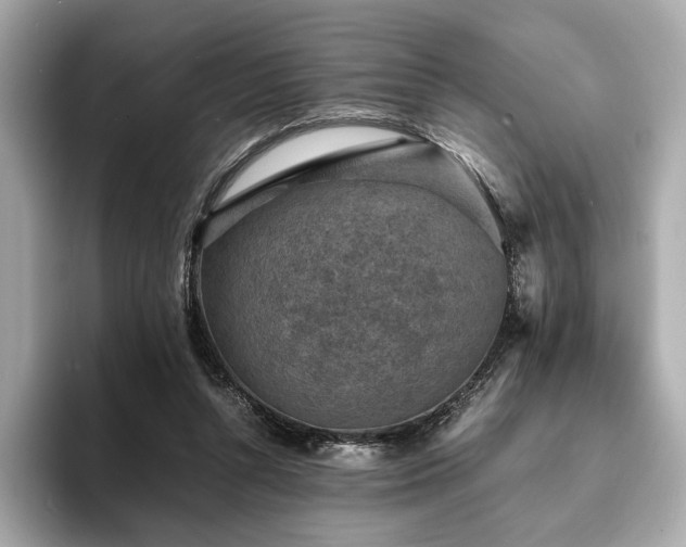X0000093730352200710161121
