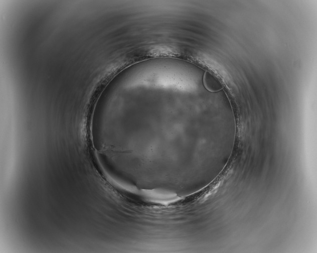 X0000093730353200710161121