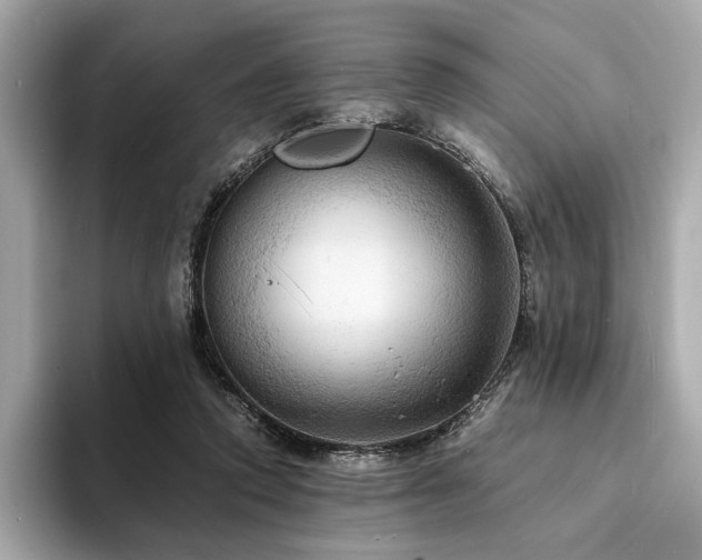 X0000093730354200710161121