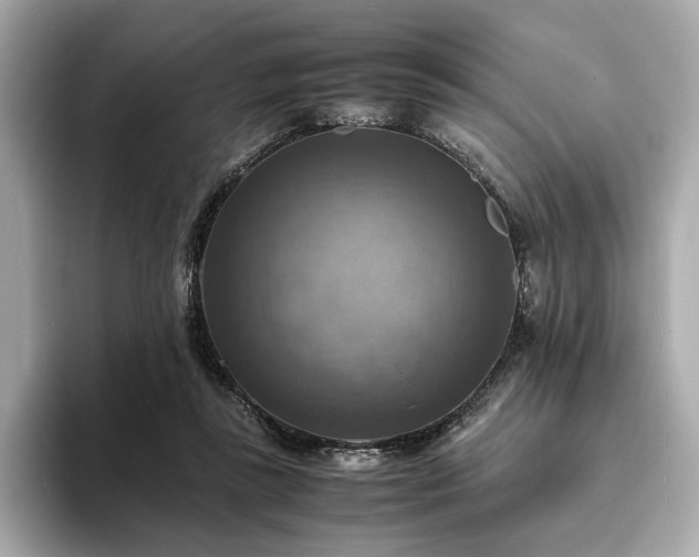 X0000093730355200710161121