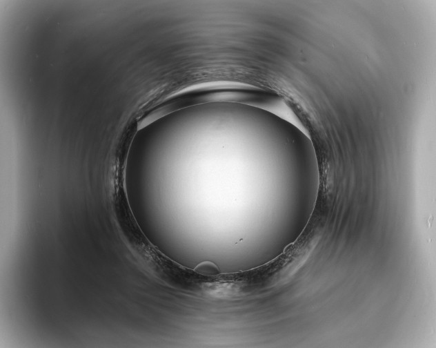 X0000093730356200710161121