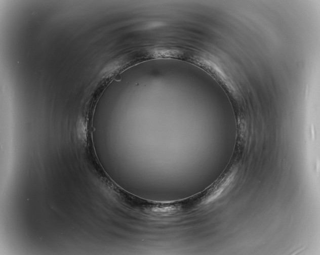 X0000093730357200710161121