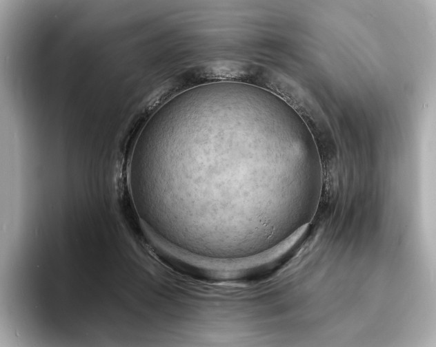 X0000093730360200710161121