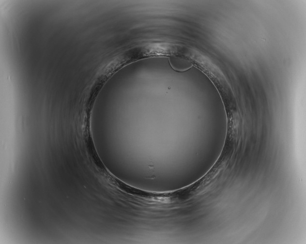 X0000093730361200710161121