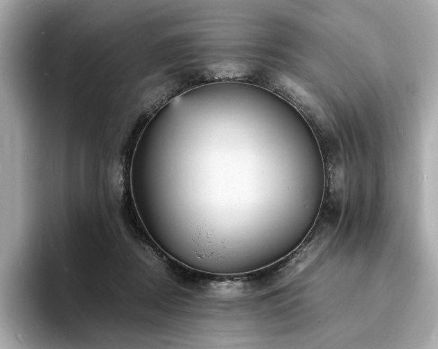 X0000093730362200710161121