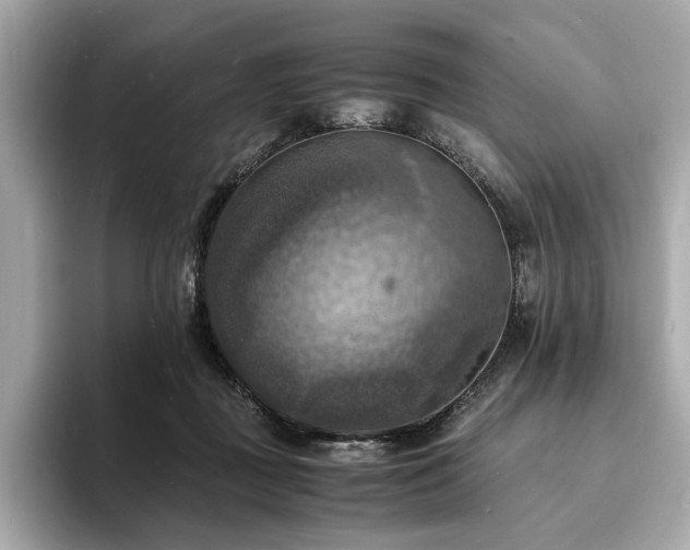 X0000093730363200710161121