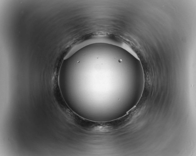 X0000093730364200710161121