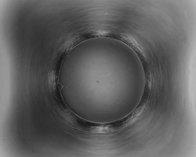 X0000093730366200710161121