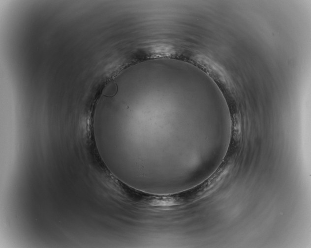 X0000093730369200710161121