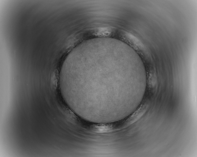 X0000093730370200710161121