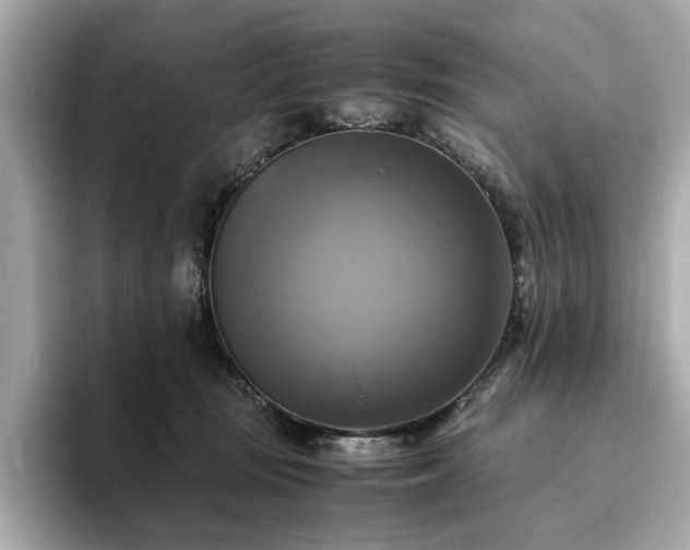 X0000093730371200710161121