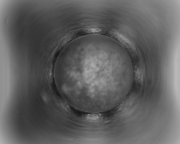 X0000093730373200710161121