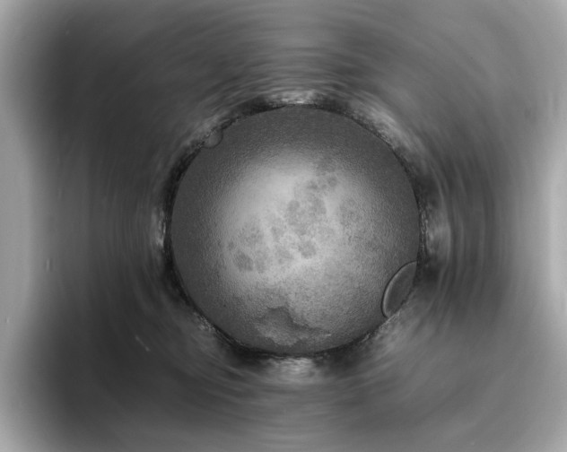 X0000093730374200710161121