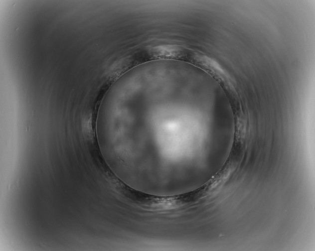 X0000093730377200710161121