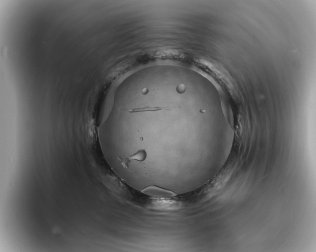 X0000093730380200710161121