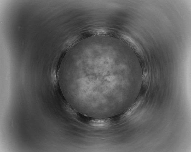 X0000093730381200710161121