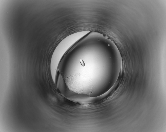 X0000093730382200710161121