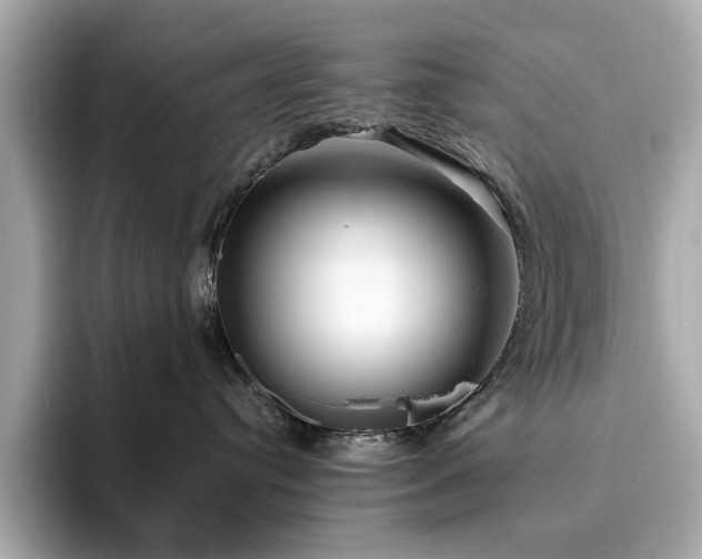X0000093730384200710161121