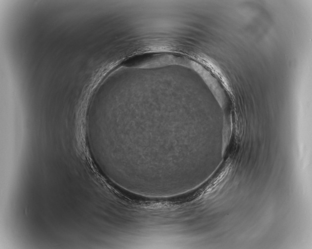 X0000093730385200710161121