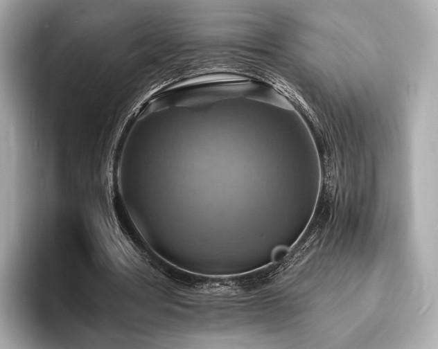 X0000093730386200710161121