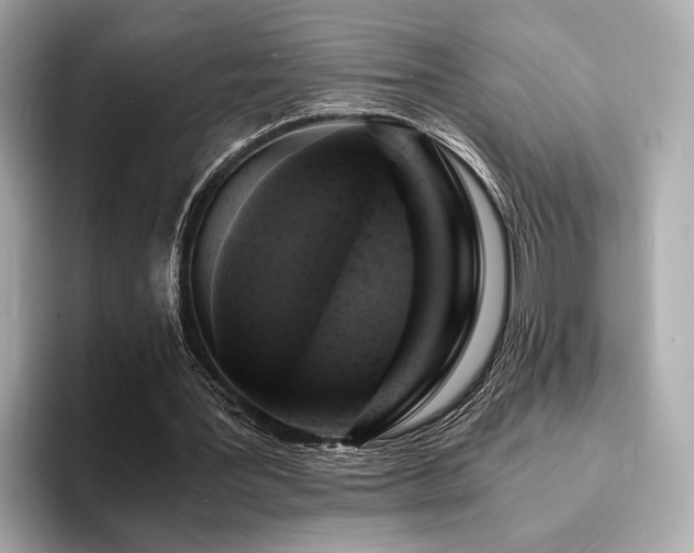 X0000093730387200710161121