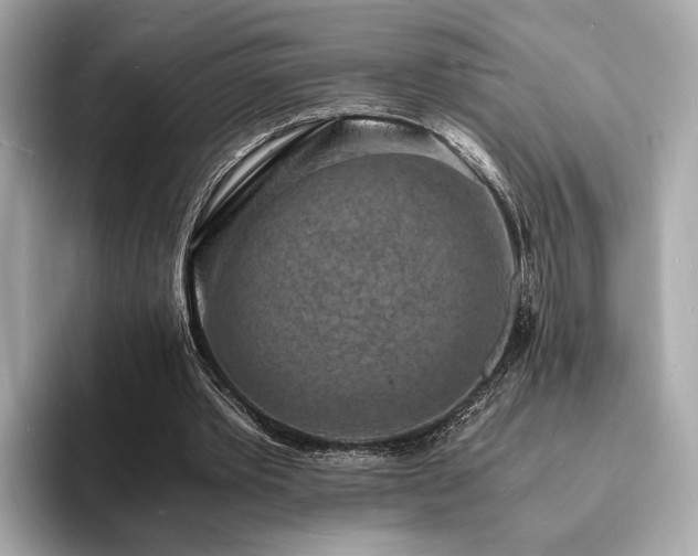 X0000093730389200710161121