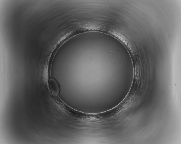 X0000093730390200710161120