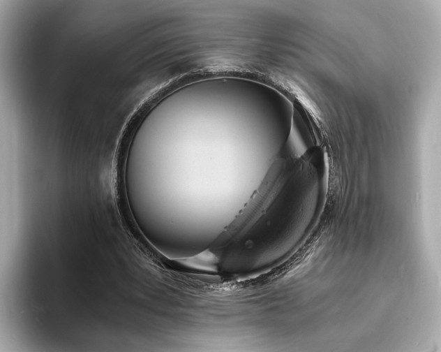 X0000093730391200710161120