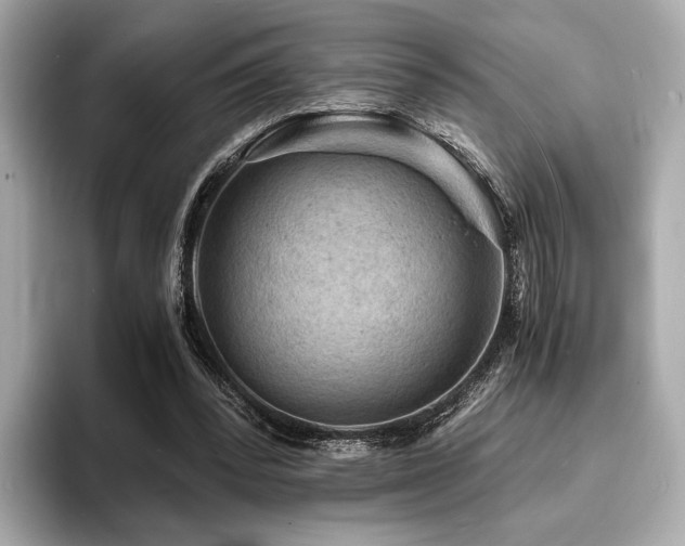 X0000093730392200710161120