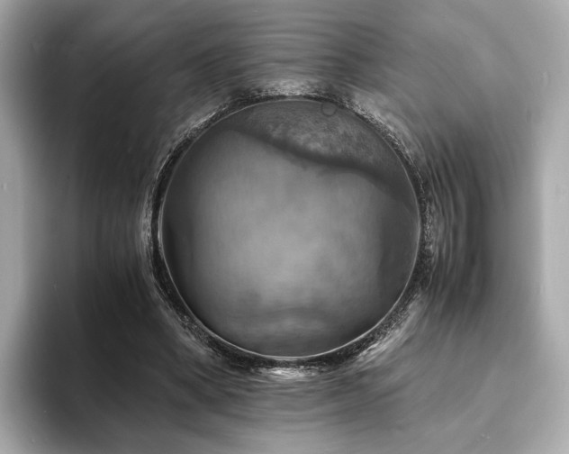 X0000093730394200710161120