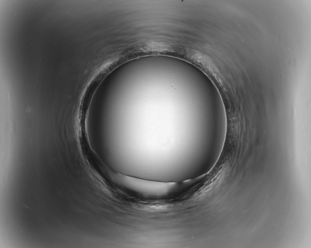 X0000093730395200710161120