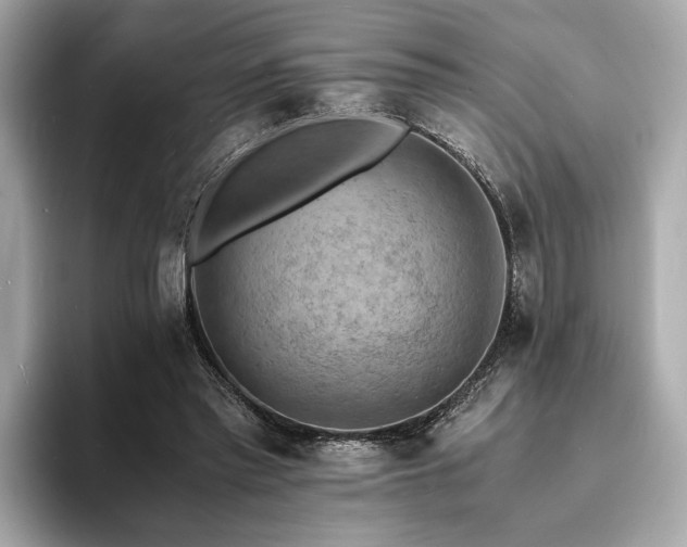 X0000093730397200710161120