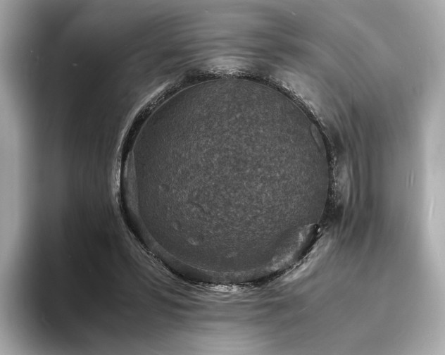 X0000093730399200710161120