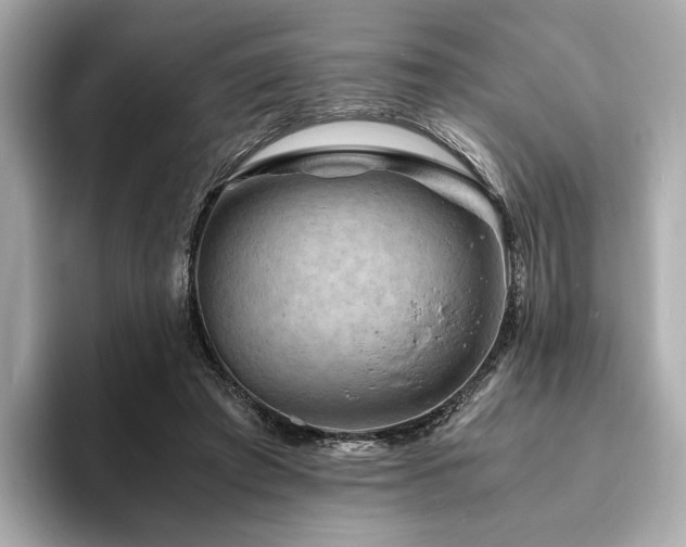 X0000093730401200710161120