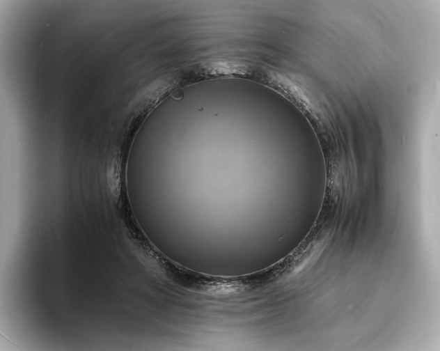 X0000093730402200710161120