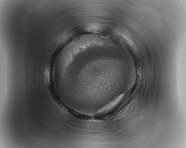X0000093730404200710161120