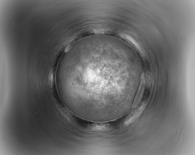 X0000093730405200710161120