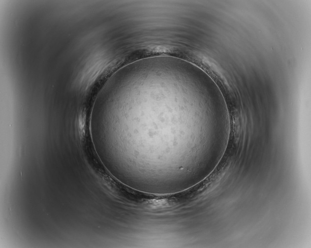 X0000093730406200710161120