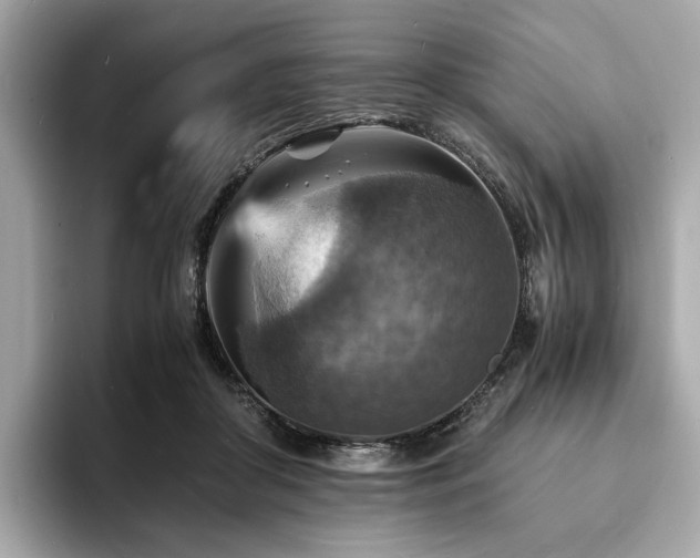 X0000093730410200710161120