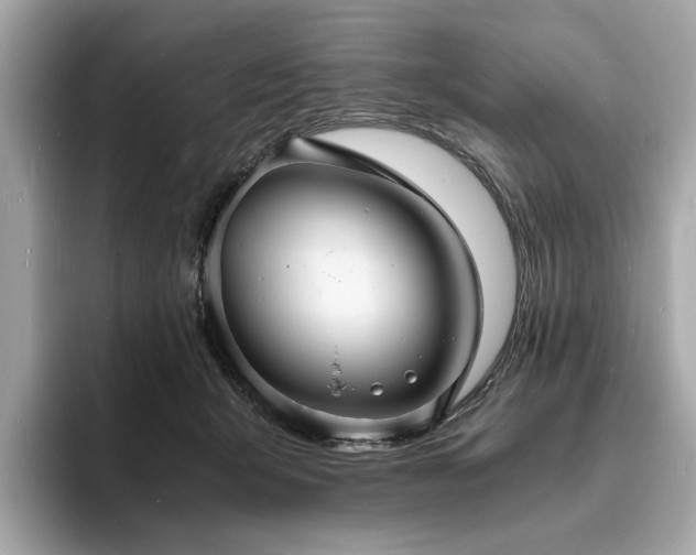 X0000093730415200710161120