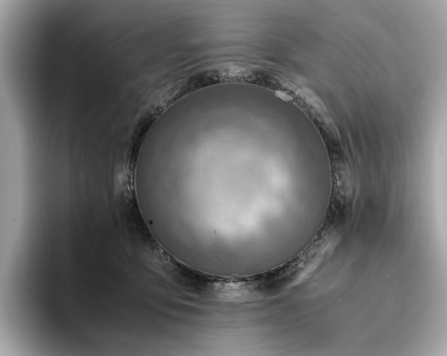 X0000093730419200710161120