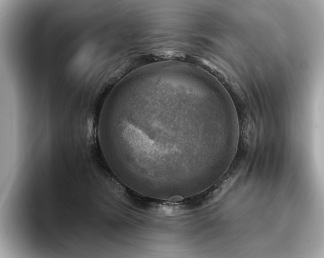 X0000093730420200710161120